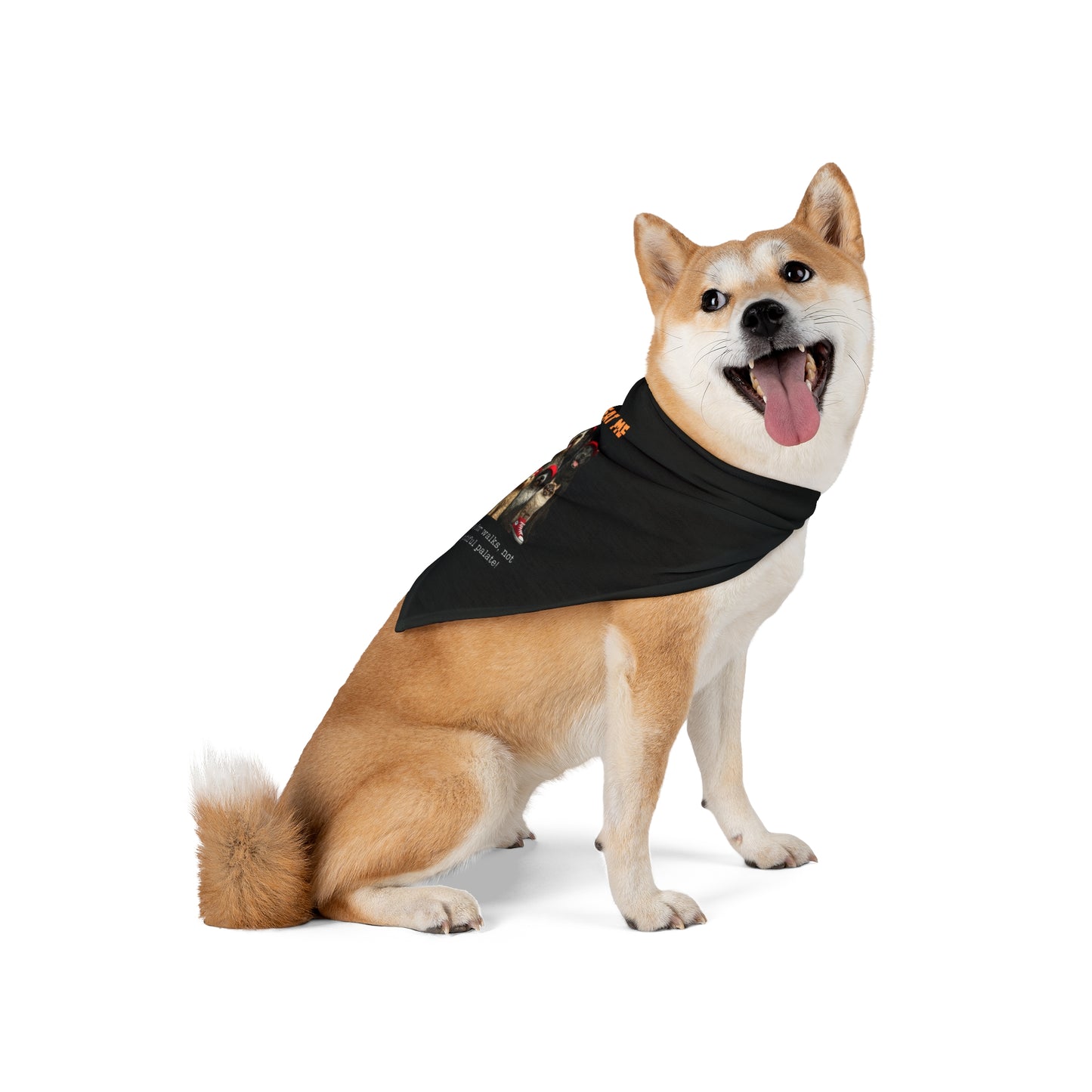 SAVE ME FOR WALKS Pet Bandana